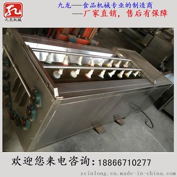 毛辊去皮清洗机 DZ-1200 诸城九龙机械